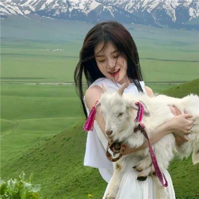 纯情罗曼史第一季
